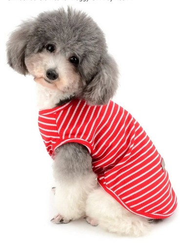 Dog shirt for small - dog, dogs