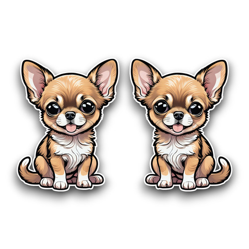 Small cute chihuahua puppy - cute,