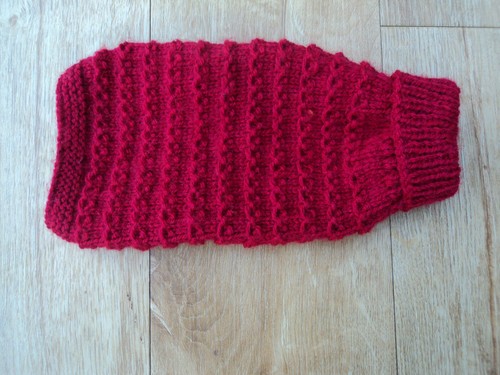 Hand knitted dog cat - hand,