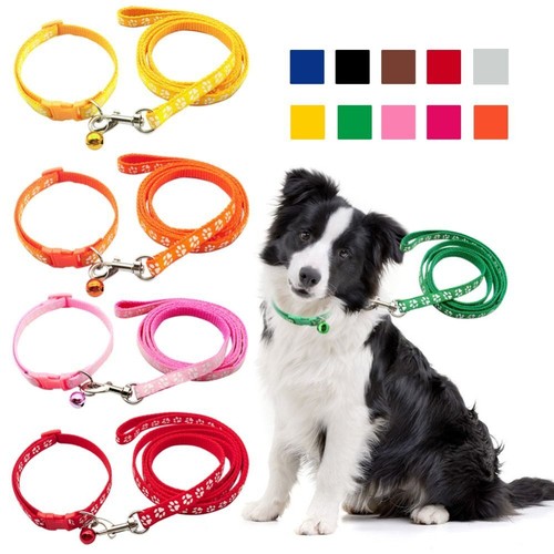 With collar puppy - puppy, set