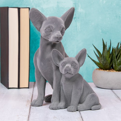 Grey chihuahua dog puppy - chihuahua, &