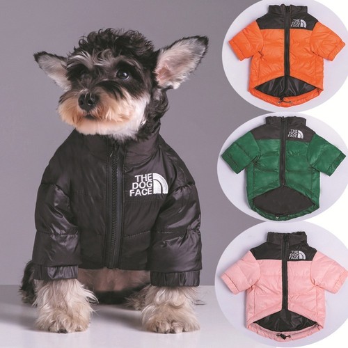 The dog face - the,
