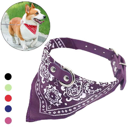 Leather dog cat collar - leather,