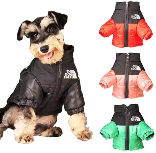 The dog face - dog, jacket