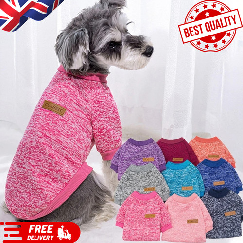 Winter dog coat small - dog,