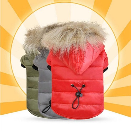 Winter dog coats - pet, cat