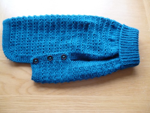 Hand knitted dog - hand,