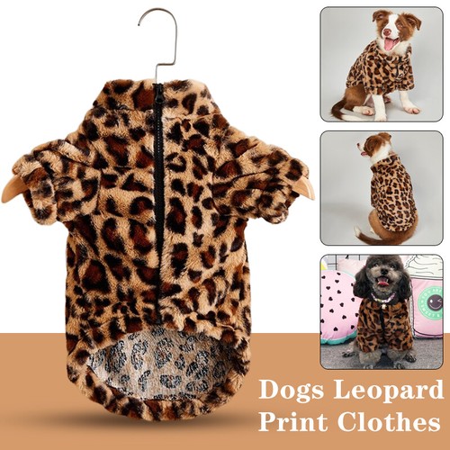 Winter warm pet - winter,
