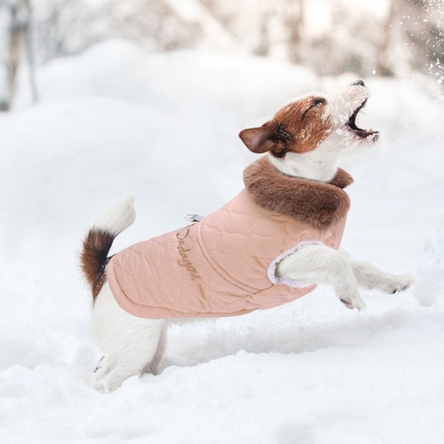 Warm padded dog coat - coat, jacket