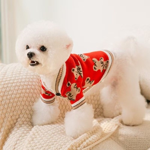 Knitted dog sweater - knitted,