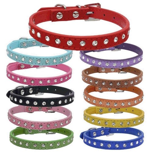 Suede leather dog - leather,
