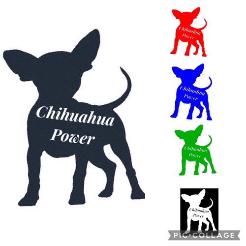 Chihuahua/dog/puppy/animal/pet