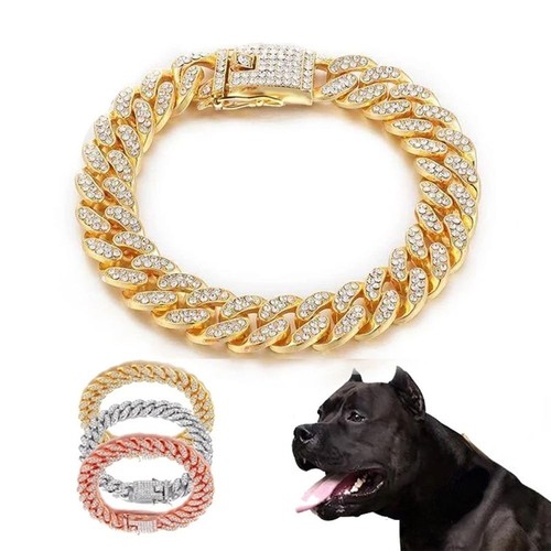 Dog cat chain collar - dog,