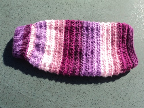 Hand knitted dog - hand,