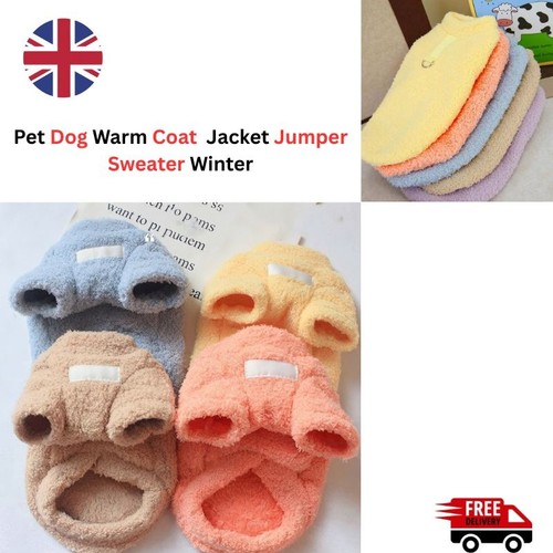 Pet dog warm - pet,
