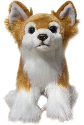 Faithful friends chihuahua - faithful,