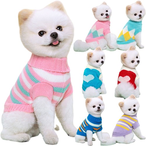 Small dog clothes pet - dog,