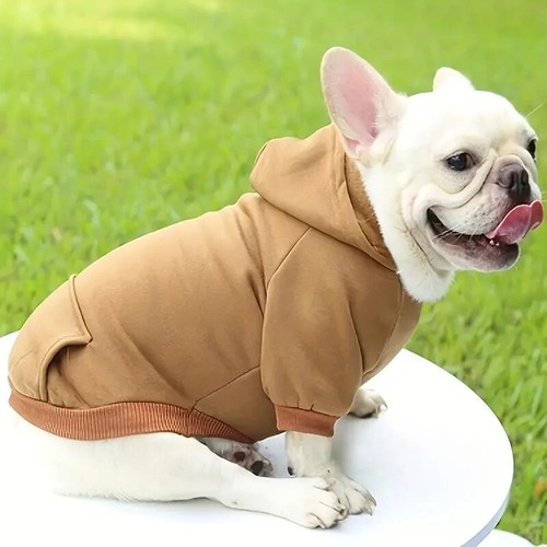 Dog hooded sweatshirt solid - dog,