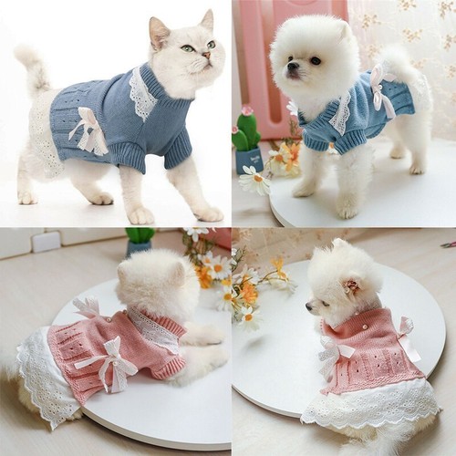 Pet cat puppy coat - pet,