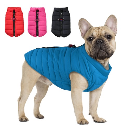 Warm dog coat jacket - dog,