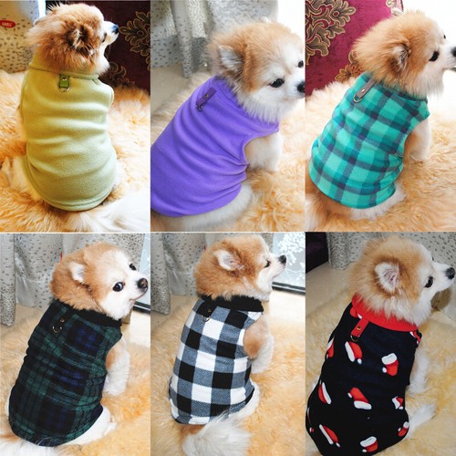Warm winter dog - winter,