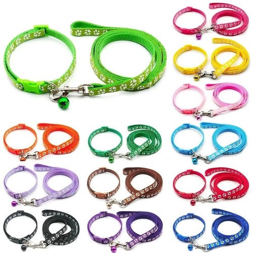 Collar puppy set - collar,