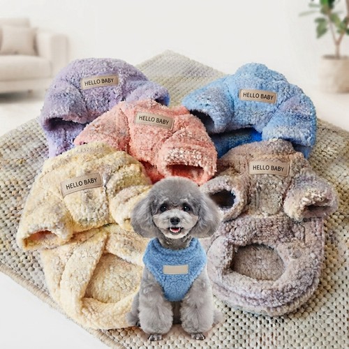 Pet dog warm - pet,