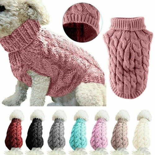 Hot puppy dog - puppy, winter