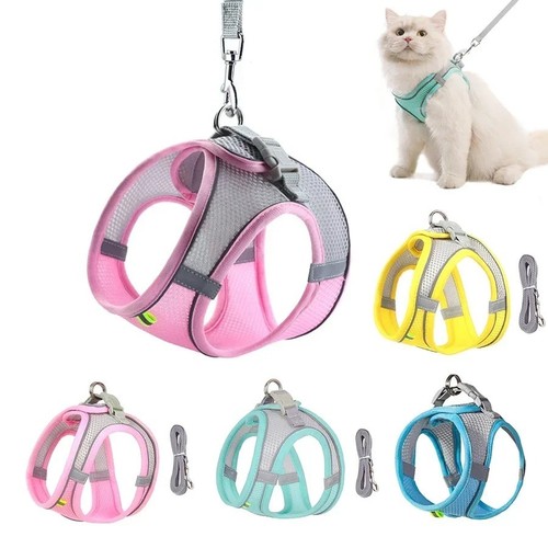 Dog harness and - leash, set