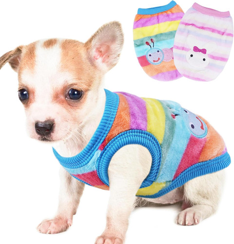 Pieces chihuahua cute dog - 2,
