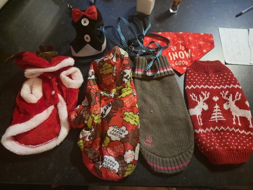 Puppy clothes - clothes, xs