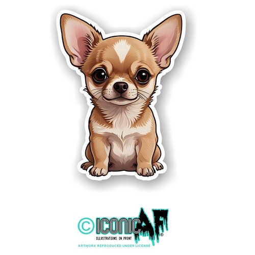 Funny cute chihuahua puppy - funny, dog