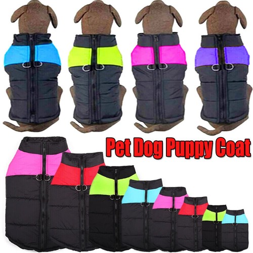 Autumn winter pet vest - autumn,