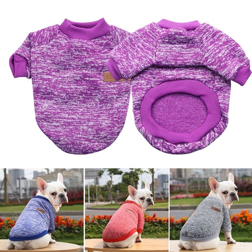 Chihuahua clothing puppy - clothing,