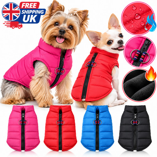 Warm dog coat winter padded - winter,