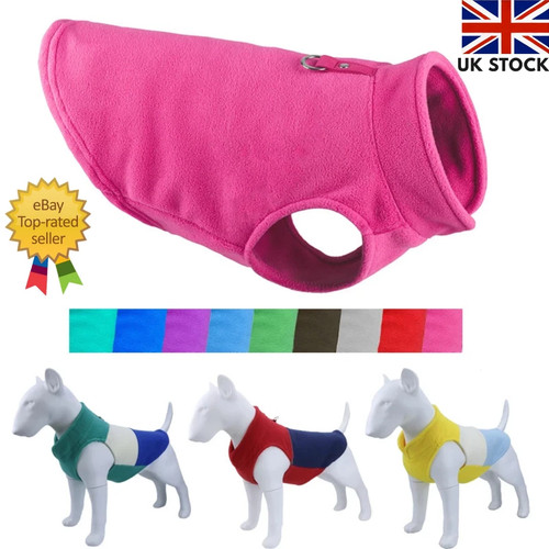 Pet dog warm - dog,