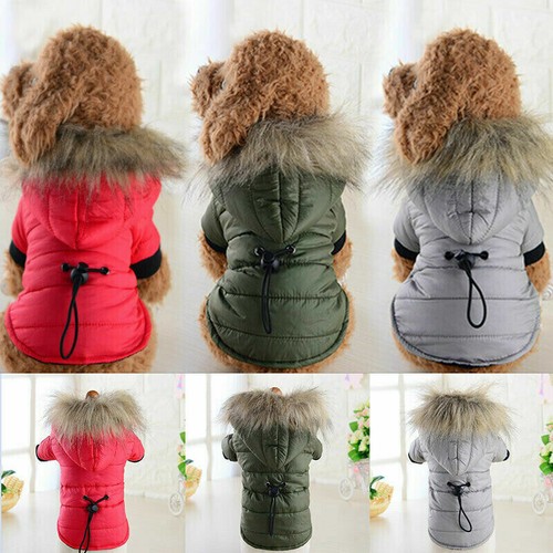 Winter warm pet clothes small - winter,
