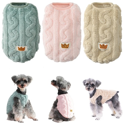 Pet dog cat - dog,